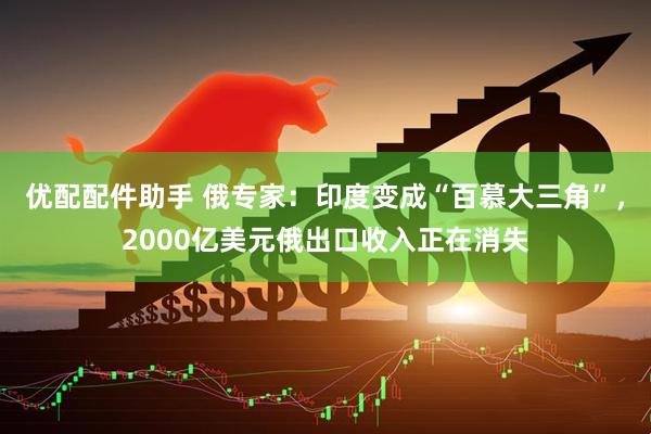 优配配件助手 俄专家：印度变成“百慕大三角”，2000亿美元俄出口收入正在消失